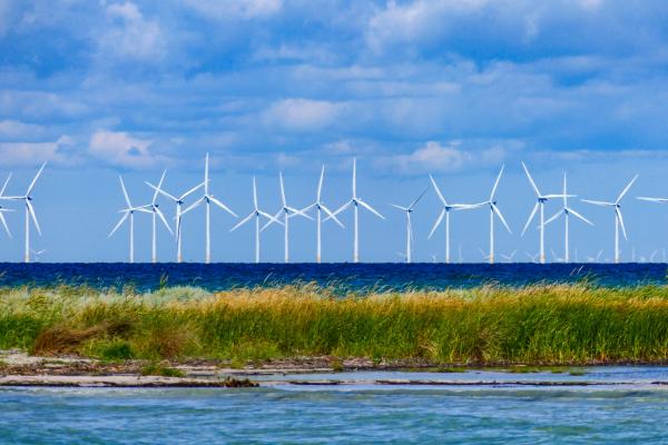 Dozens of wind turbines on the horizon in coastal wind farm