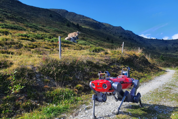 A dog-like robot on a mountain side