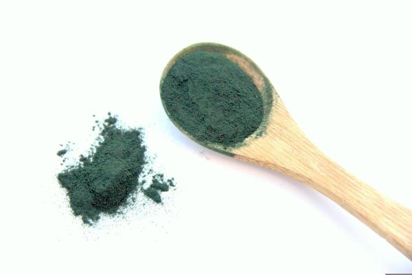 Spirulina, a blue-green microalgae, is an excellent source of micronutrients and protein. Image Credit: Anaïs CROUZET via Pixabay