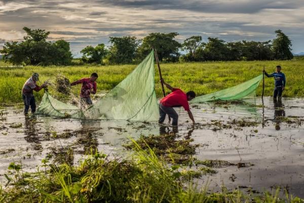 Fishers on the Orinoco River, Colombia. Freshwaters across the world support human lives in diverse and important ways.
