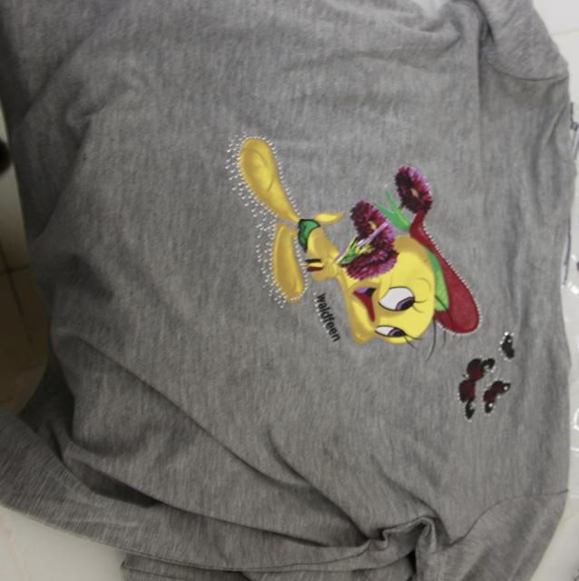 Photo of recalled product: Track suit