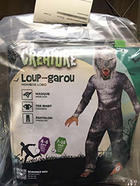 Children's fancy dress costume