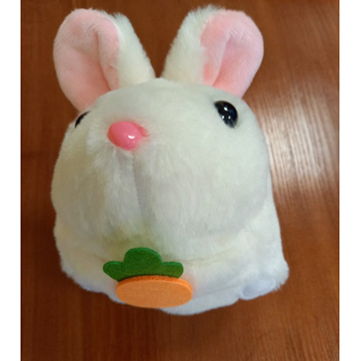 Photo of recalled product: Soft toy