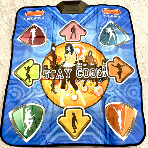 Photo of recalled product: Wireless Dance Pad