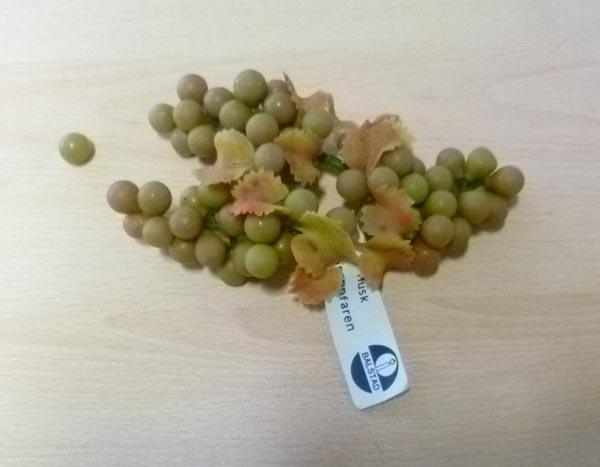 Decorative grapes