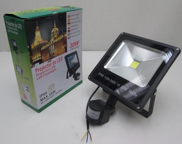 Photo of recalled product: Floodlight