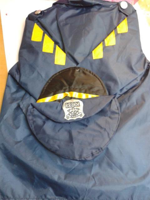 Fancy dress costume