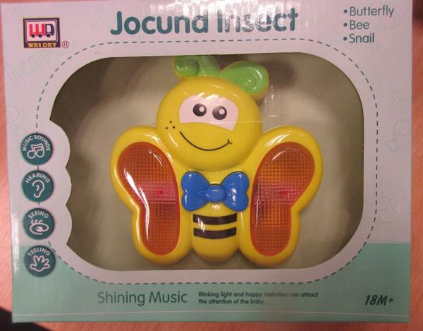 Jocund Insect Butterfly