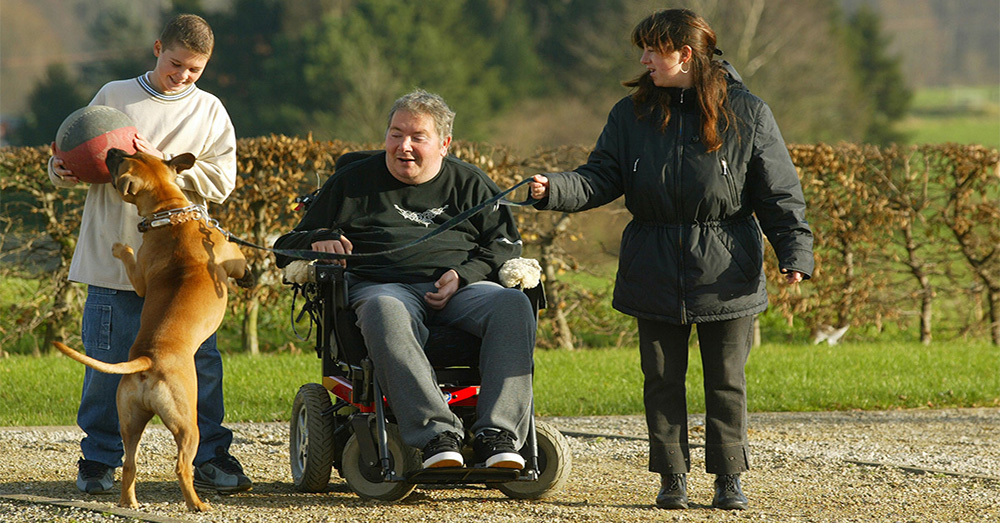 Boy, man in motorised wheelchair, and woman with dog on leash walk down a sunny field