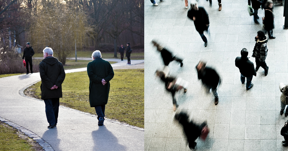 Elderly people walking in a park in winter - Crowd walking in a public place 
