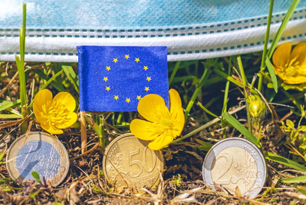 EU flag in the middle of flowers and euro coins