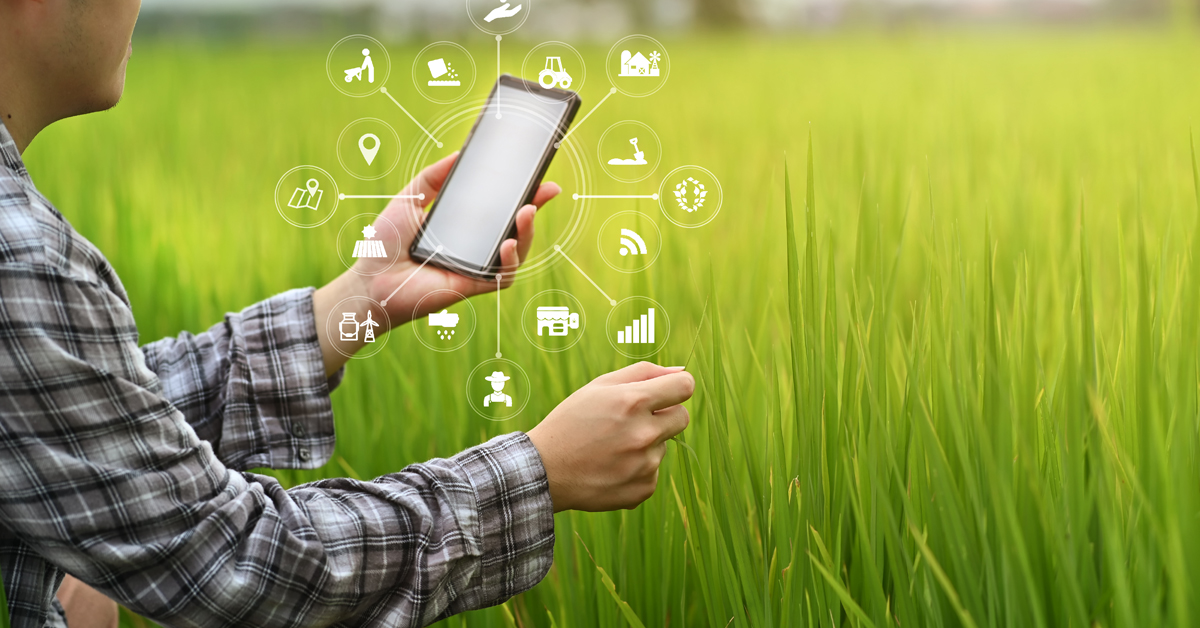 Agriculture technology farmer man using smartphone analysis data and visual icon.