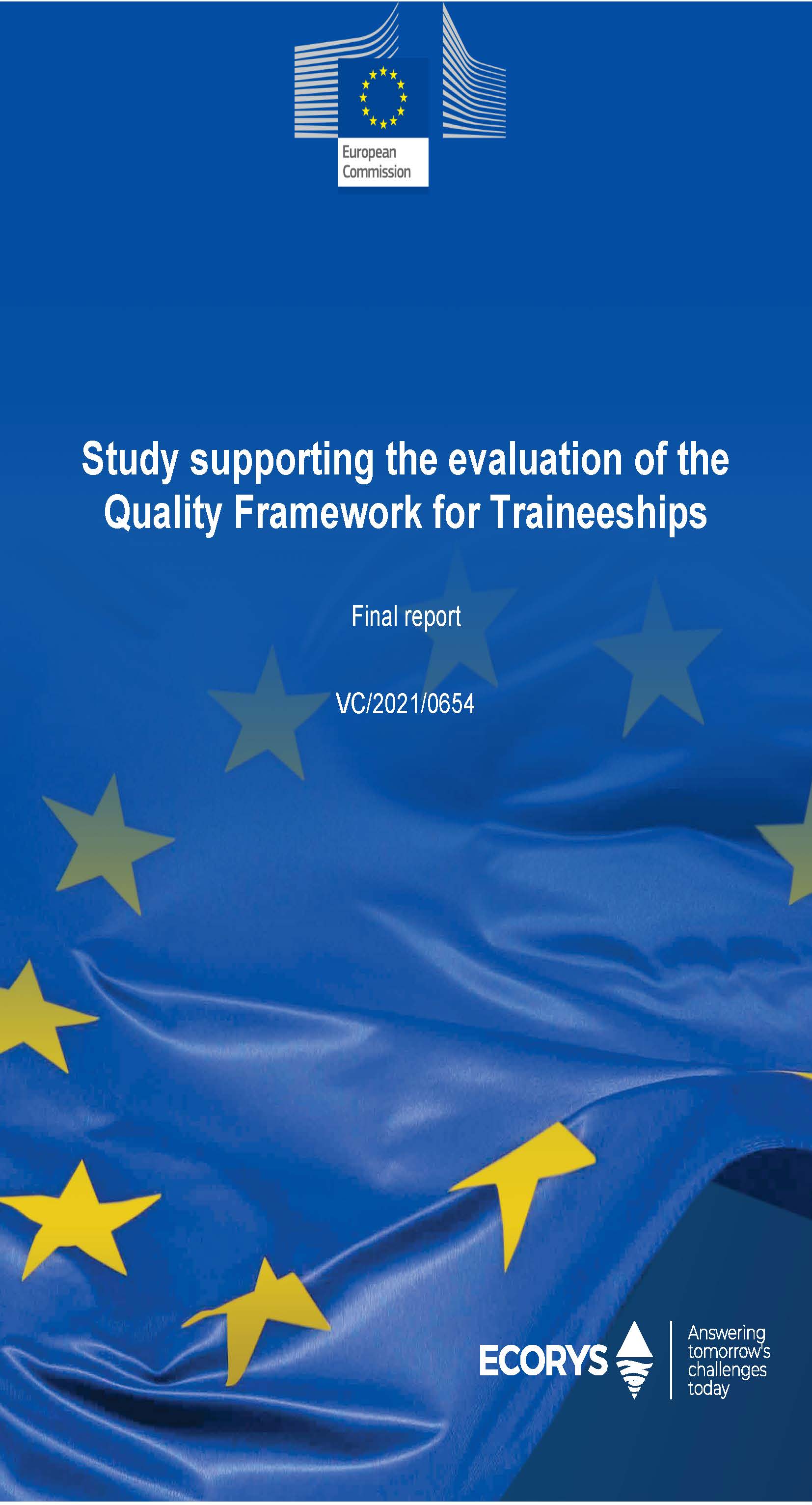 Study supporting the evaluation of the Quality Framework for Traineeships