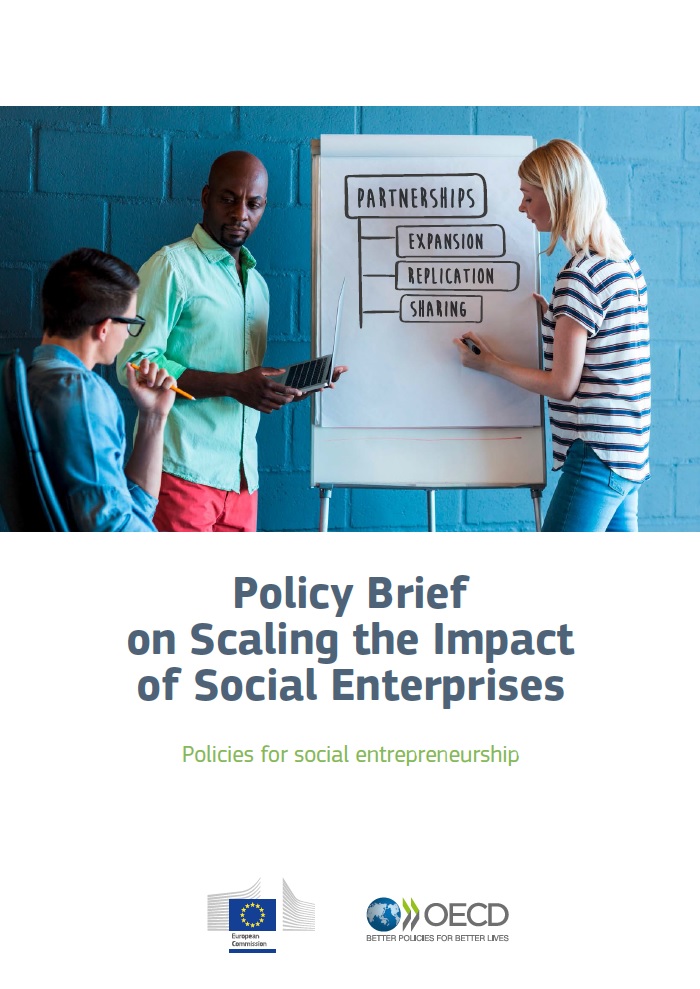 Policy brief on scaling the impact of social enterprises