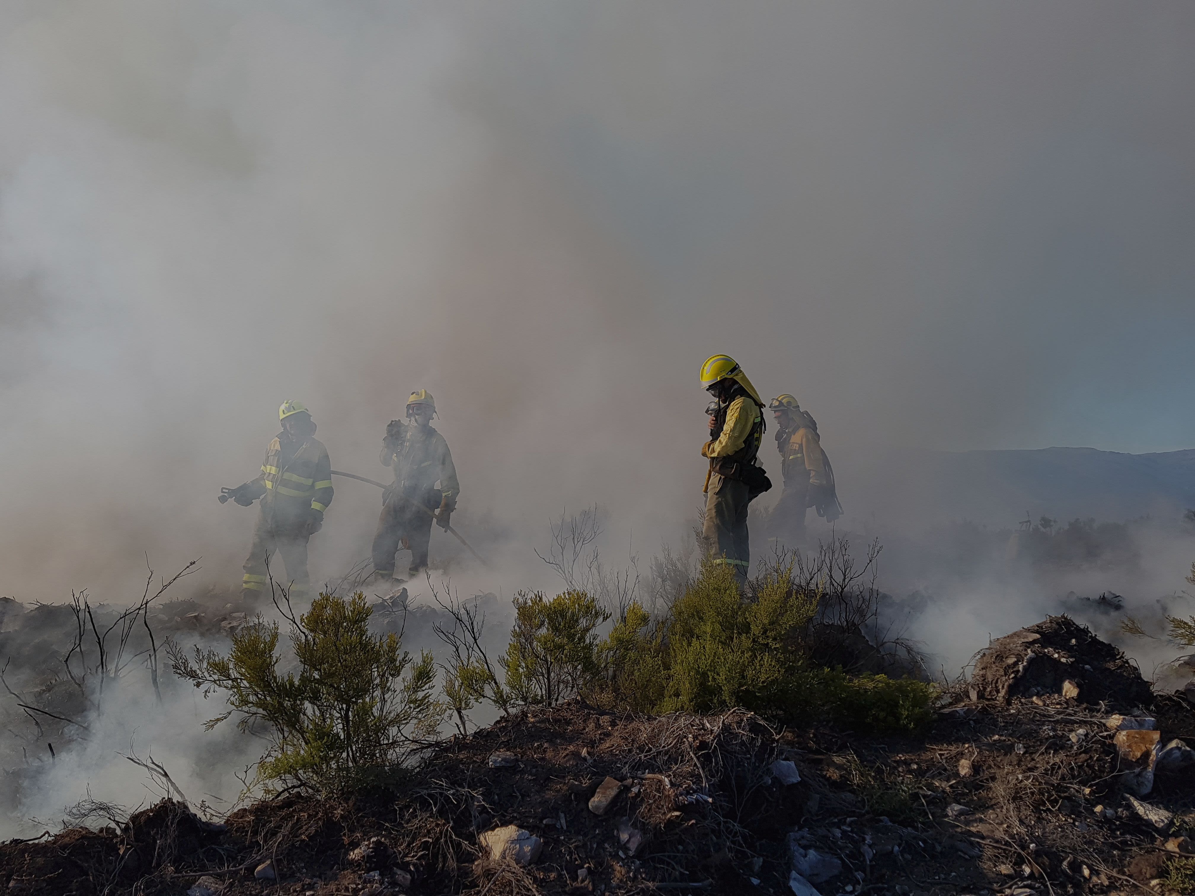 A group of firefighters stand over a recently extinguished fire.
